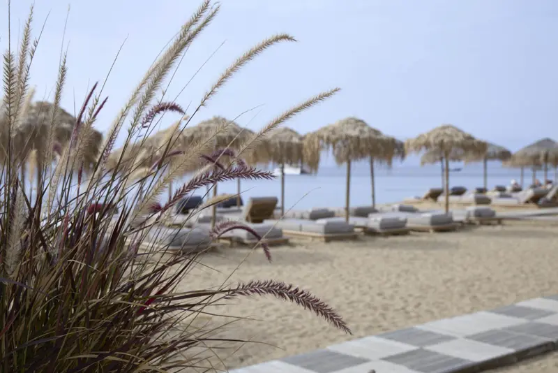 Poze-Cazari-Sea-Breeze-Skiathos-Hotel-Princess-16